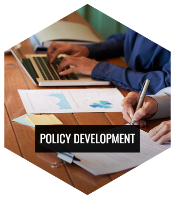 policy development